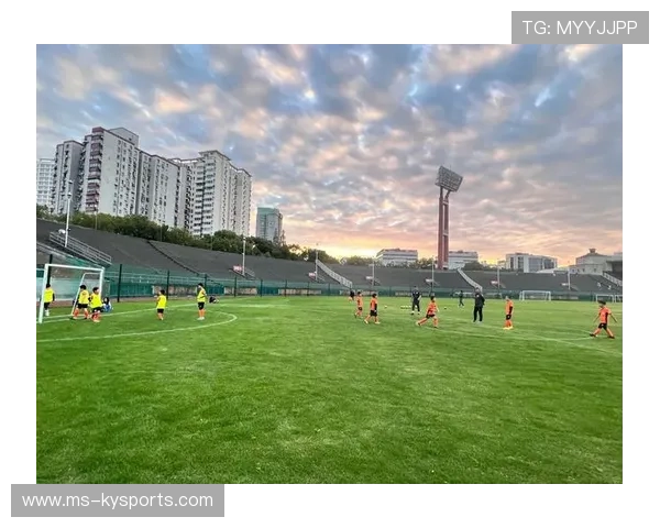 2026世界杯洛杉矶SoFi体育场人工改天然草:TSG小组关于比赛场摩擦系数的白皮书 2026世界杯洛杉矶SoFi体育场人工改天然草:TSG小组关于比赛场摩擦系数的白皮书
