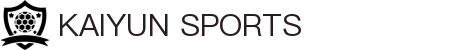开云·体育(中国)官方网站-KAIYUN SPORTS